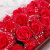 520バレンテーディィの母の日プロの诞生日プリセット女子学生に彼女の奥さんに告白されました。クレエテの花のバラの化粧品です。